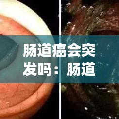 躡蹻檐簦 第4頁(yè)