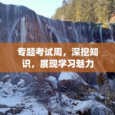 專(zhuān)題考試周，深挖知識(shí)，展現(xiàn)學(xué)習(xí)魅力