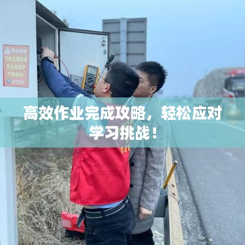 高效作業(yè)完成攻略，輕松應(yīng)對學習挑戰(zhàn)！