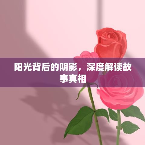 陽光背后的陰影，深度解讀故事真相