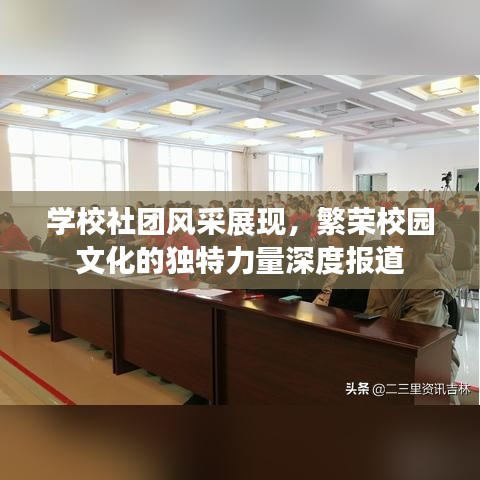 學(xué)校社團風(fēng)采展現(xiàn)，繁榮校園文化的獨特力量深度報道