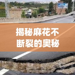 揭秘麻花不斷裂的奧秘，制作技巧全攻略