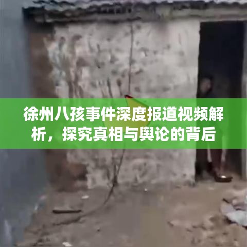 徐州八孩事件深度報(bào)道視頻解析，探究真相與輿論的背后
