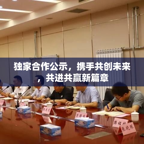 獨(dú)家合作公示，攜手共創(chuàng)未來(lái)，共進(jìn)共贏新篇章