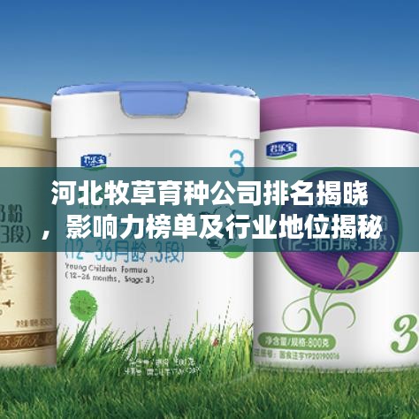 河北牧草育種公司排名揭曉，影響力榜單及行業(yè)地位揭秘