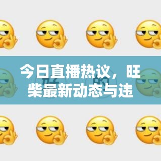 今日直播熱議，旺柴最新動態(tài)與違法犯罪問題探討深度解析