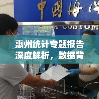 惠州統(tǒng)計(jì)專(zhuān)題報(bào)告深度解析，數(shù)據(jù)背后的真相與洞察