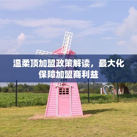溫柔頂加盟政策詳解，最大化保障加盟商利益
