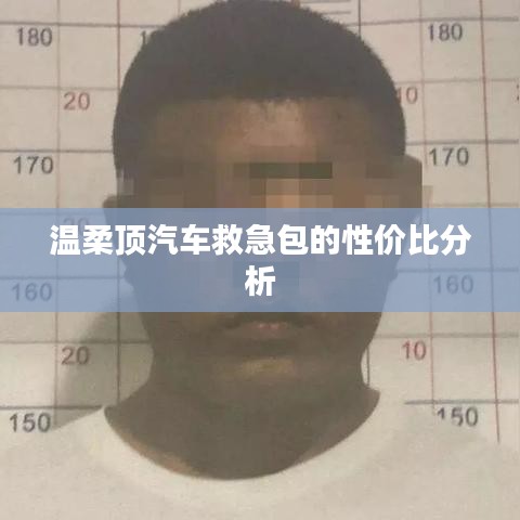 溫柔頂汽車救急包，性價(jià)比解析