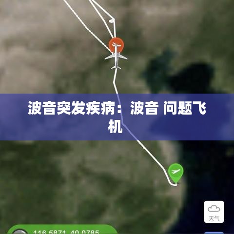 波音突發(fā)疾?。翰ㄒ?問(wèn)題飛機(jī) 