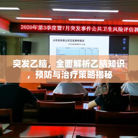 突發(fā)乙腦，全面解析乙腦知識，預(yù)防與治療策略揭秘