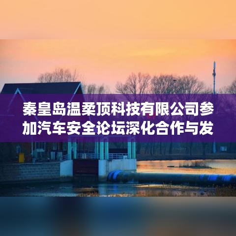 秦皇島溫柔頂科技參加汽車安全論壇，深化合作，共謀發(fā)展