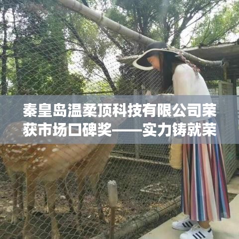 秦皇島溫柔頂科技榮獲市場口碑獎，實力創(chuàng)新，引領未來