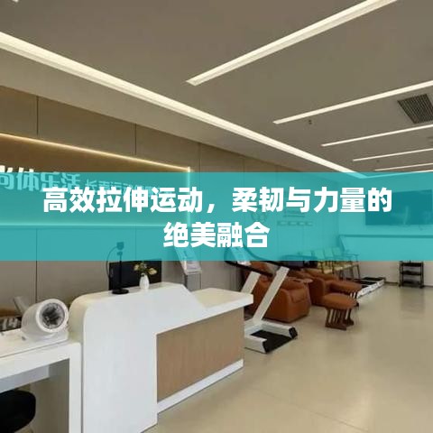 高效拉伸運(yùn)動(dòng)，柔韌與力量的絕美融合