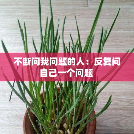 不斷問我問題的人：反復(fù)問自己一個問題 