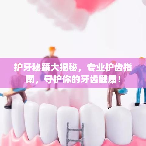 護(hù)牙秘籍大揭秘，專業(yè)護(hù)齒指南，守護(hù)你的牙齒健康！