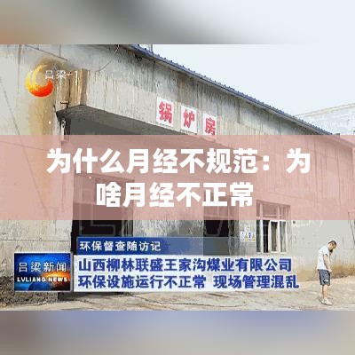 差強(qiáng)人意 第2頁(yè)