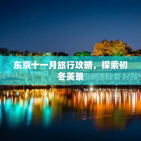 東京十一月旅行攻略，探索初冬美景