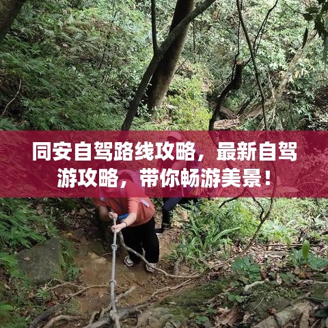 同安自駕路線(xiàn)攻略，最新自駕游攻略，帶你暢游美景！