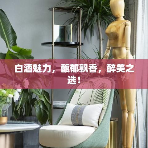 白酒魅力，馥郁飄香，醉美之選！