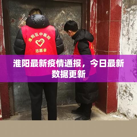 淮陽最新疫情通報，今日最新數(shù)據(jù)更新