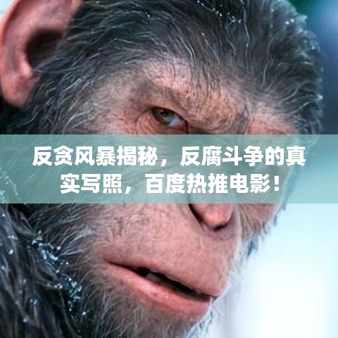 反貪風(fēng)暴揭秘，反腐斗爭(zhēng)的真實(shí)寫(xiě)照，百度熱推電影！