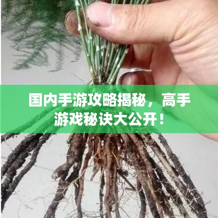 唾沫橫飛 第2頁(yè)