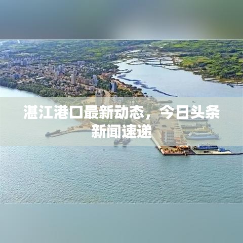 湛江港口最新動(dòng)態(tài)，今日頭條新聞速遞