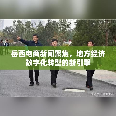 岳西電商新聞聚焦，地方經濟數(shù)字化轉型的新引擎