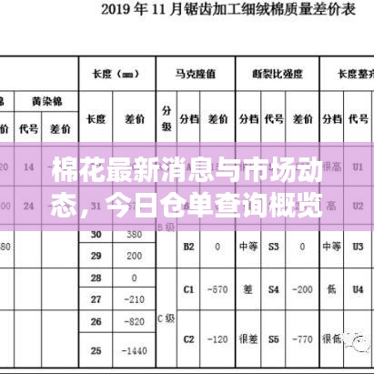棉花最新消息與市場動態(tài)，今日倉單查詢概覽