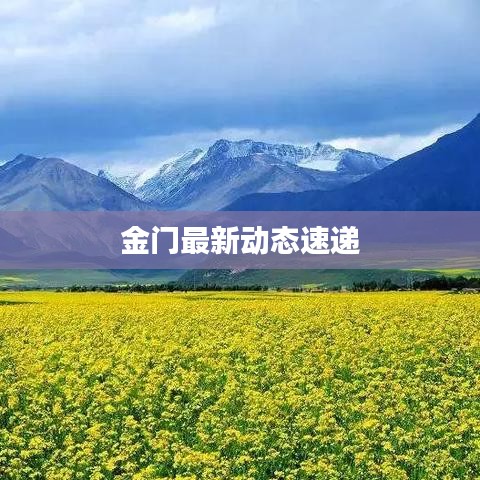 金門最新動(dòng)態(tài)速遞