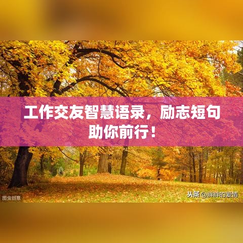 工作交友智慧語錄，勵志短句助你前行！