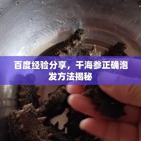 百度經(jīng)驗分享，干海參正確泡發(fā)方法揭秘
