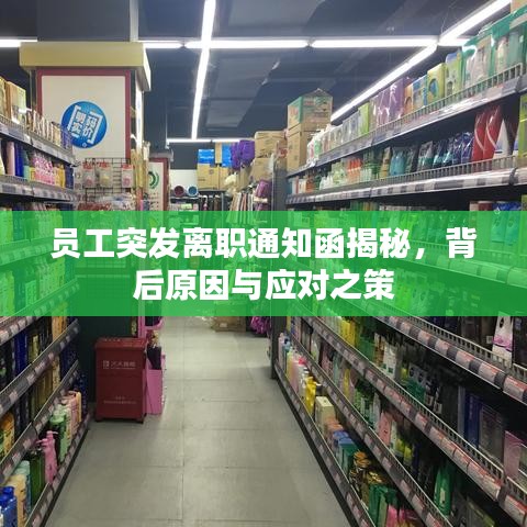 員工突發(fā)離職通知函揭秘，背后原因與應(yīng)對(duì)之策