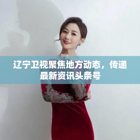 遼寧衛(wèi)視聚焦地方動(dòng)態(tài)，傳遞最新資訊頭條號(hào)