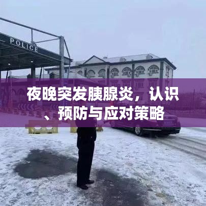 夜晚突發(fā)胰腺炎，認(rèn)識、預(yù)防與應(yīng)對策略