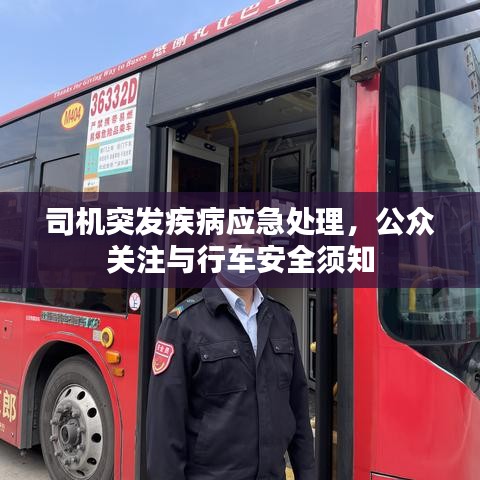司機(jī)突發(fā)疾病應(yīng)急處理，公眾關(guān)注與行車安全須知