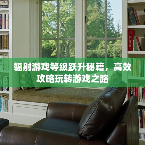 輻射游戲等級(jí)躍升秘籍，高效攻略玩轉(zhuǎn)游戲之路