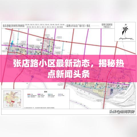 張店路小區(qū)最新動態(tài)，揭秘?zé)狳c新聞頭條