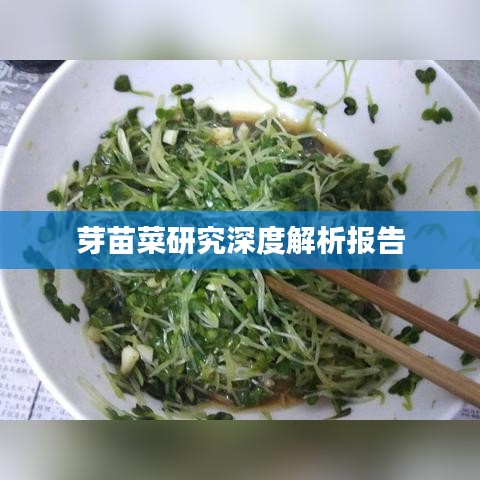 展翅高飛 第2頁