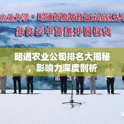 昭通農(nóng)業(yè)公司排名大揭秘，影響力深度剖析