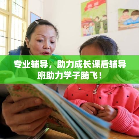 專業(yè)輔導，助力成長課后輔導班助力學子騰飛！