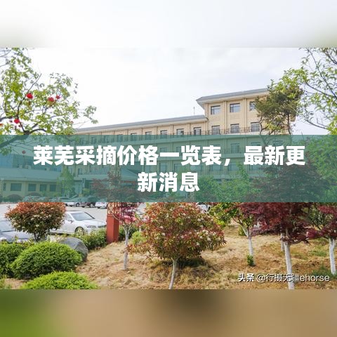 萊蕪采摘價(jià)格一覽表，最新更新消息