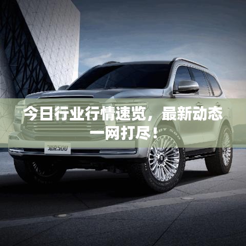 今日行業(yè)行情速覽，最新動態(tài)一網打盡！