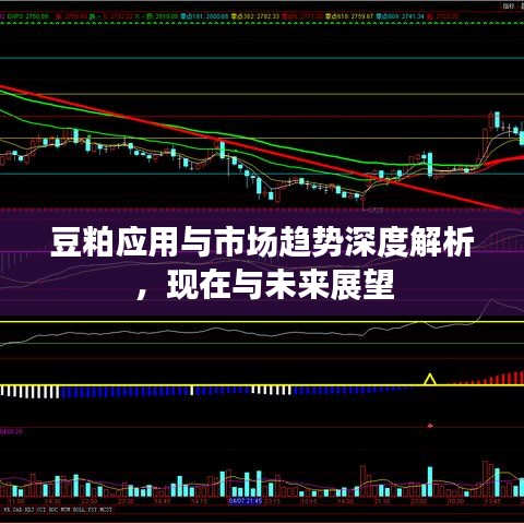 豆粕應(yīng)用與市場趨勢深度解析，現(xiàn)在與未來展望