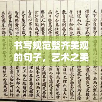 書寫規(guī)范整齊美觀的句子，藝術(shù)之美的文字打造