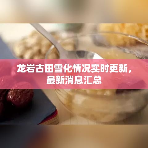 龍巖古田雪化情況實時更新，最新消息匯總